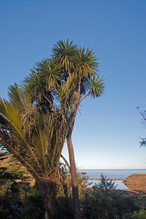 The Cottage Wairoa ภายนอก รูปภาพ
